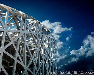 Bird's Nest