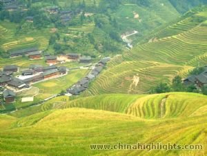Longji Terrace Longji Terrace