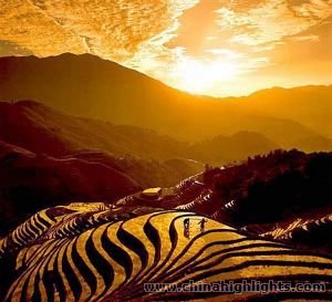 Longji Terrace