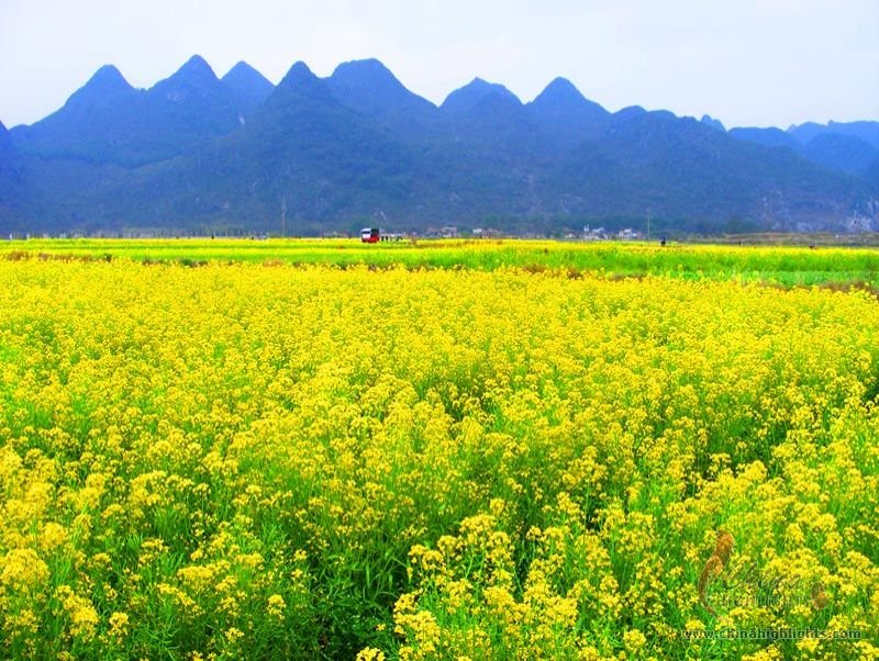 Guilin and Daxu Ancient Town Spring Tour 